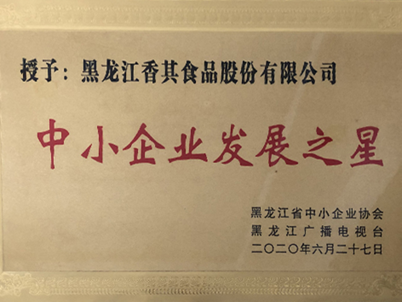 中小企業發展之星